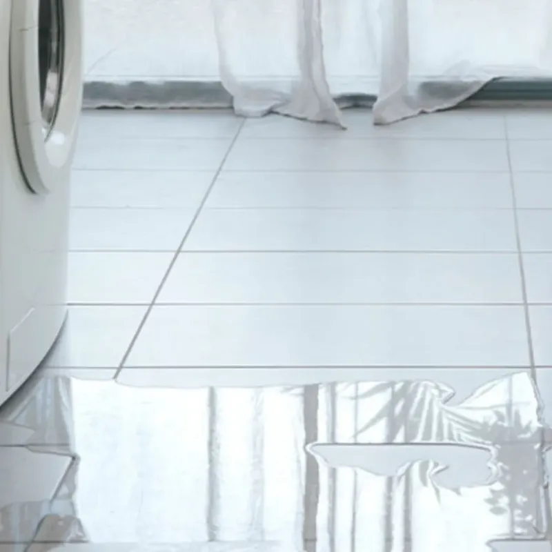 Appliance Leak Cleanup in Lovingston, VA