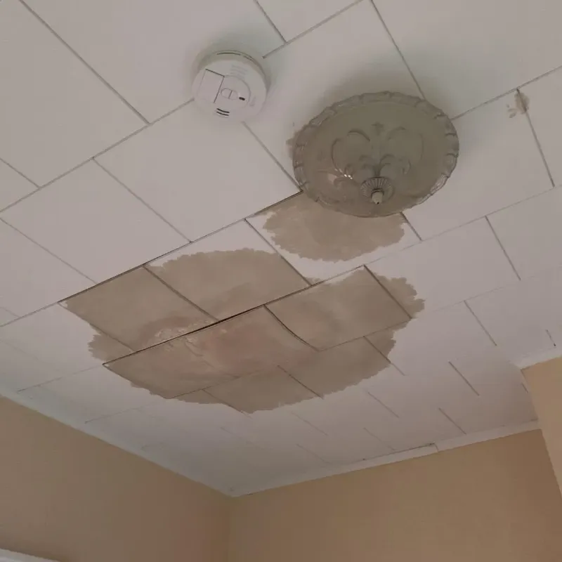 Ceiling Water Damage Repair in Lovingston, VA