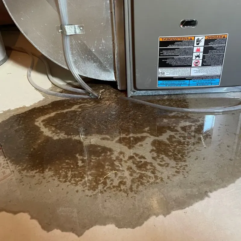 Pipe Burst and Leak Restoration in Lovingston, VA