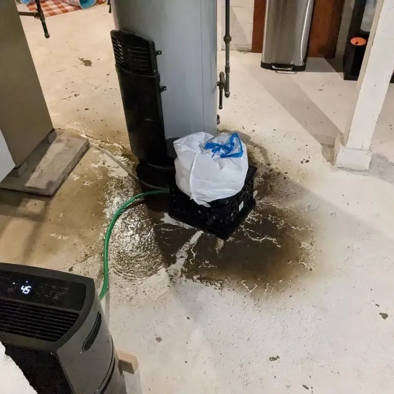 Sewage Backup Cleanup Service in Lovingston, VA